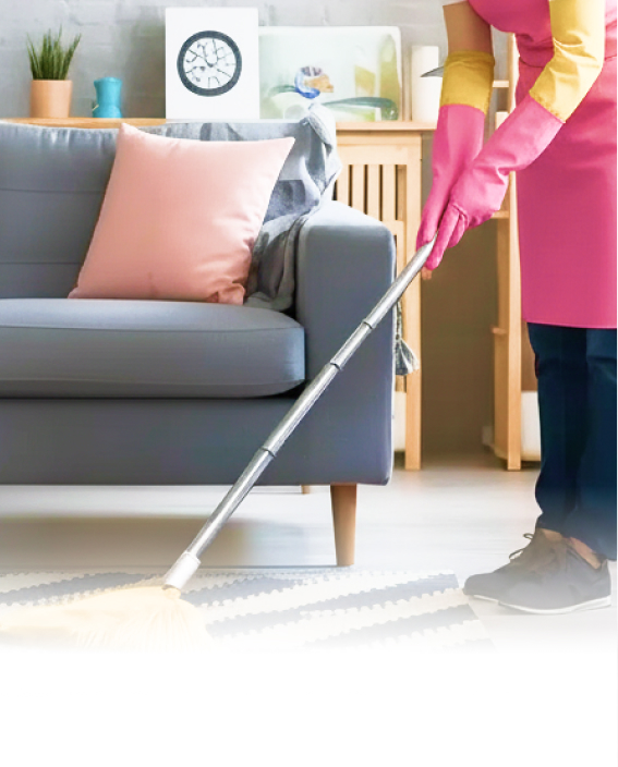 Recurring Cleaning